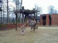 ZOO Liberec